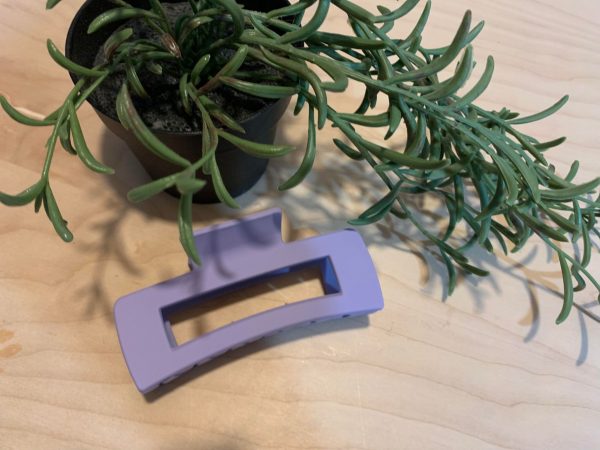 Barette pince – Image 3